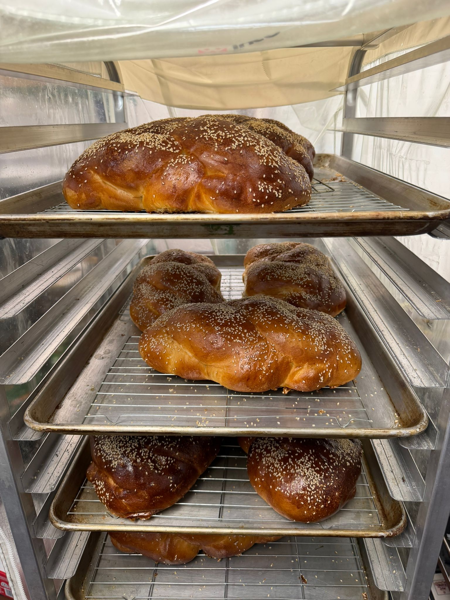 Pareve Kosher Bakery